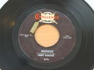 JIMMY GORDON Buzzzzzz/Somethin Else 45 Fuzz Garage Surf HEAR 
