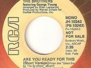 THE BROTHERS Are You Ready For This RCA PROMO  NORTHERN SOUL 45