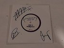 dinosaur pile up penisula signed purple vinyl rare nirvana weezer