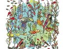 John Zorn - The Dreamers-The Gentle Side Vinyl LP Tzadik NEW