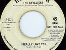 NORTHERN SOUL - CAVALIERS - I'VE GOTTA FIND HER - RCA LABEL  - DEMO **LISTEN**