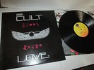 The CULT 