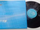 Pete Shelley - Sky Yen (STP 2) EU LP, groovy records 1980