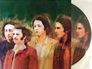THE BEATLES VINYL LP - ALTERNATE RARITIES - PICTURE DISC