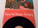 AQUARIAN DREAM - FANTASY LP + INNER  UK 1ST PRESS ELEKTRA NORMAN CONNERS
