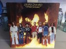 Lynyrd Skynyrd - Street Survivors - 1977 Vinyl LP Album 
