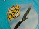 EXCELLENT  WASP FOREVER FREE VINYL SHAPED PIC PICTURE DISC  (CLPD 546) W.A.S.P.