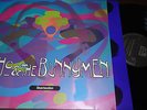 ECHO AND THE BUNNYMEN - Reverberation, LP 12