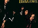 Universal Music Group The Black Crowes - Shake Your Money Maker  [LP]