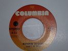 Ronnie Dyson - Lady In Red - Columbia - 70s Soul - MP3