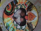 Sublime Acoustic Bradley Nowell And Friends LP RARE PICTURE DISC 311 Bob Marley