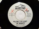 BOUQUETS 45 Ain't That Love / Welcome To My Heart BLUE CAT Near-MINT Soul c1477