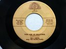 the 5 NOTES 45 You Are So Beautiful/Broken Hearted Baby JOSIE Doowop c1200