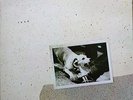 Fleetwood Mac Tusk, Double Album, Vinyl, with inserts etc