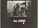 THE SCENE,I've Had Enough,Rare UK Mod Revival 45,1980,NM/Ex
