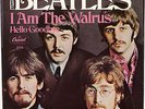 The Beatles HELLO GOODBYE USA picture sleeve only. M-