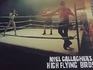 Noel Gallagher's High Flying Birds Dream On