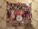 Various ?– Burning Ambitions: A History Of Punk, double LP, D RED 3,