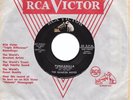 Mod R&B Rocker 45 QUARTER NOTES Punkanilla/The Interview HEAR Wild Tunes