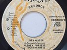 ALTHEA FORREST - HEY MISTER - CRYSTAL ( FUNKY DISCO REGGAE 7 )