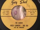 Fred Lowery- Big Bo & The Arrows- I'm Sorry. 7