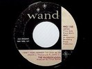 THE MASQUERADERS - I Don't Want Nobody To Leade Me On (Rare Soul 45) Wand
