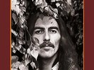 George Harrison - The Vinyl Collection 12