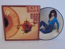 70s KATE BUSH the kick inside UK First Pressing Picture Disc Vinyl LP MINT