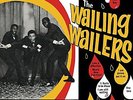 Wailers - The Wailing Wailers Vinyl LP  NEU