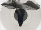 JOY DIVISION Love will tear us apart - 12