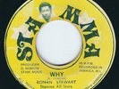 Roman Stewart - Why / Spoil Style Dub - Stamma 7