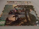 Buffalo Springfield Again Atlantic Orange/Plum 588091 A-1/B-1
