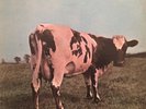PINK FLOYD Atom Heart Mother LP HARVEST SKAO 382 rare original VG++