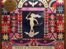 NEW 180 g ROCK 2x LP; DECEMBERISTS WHAT A TERRIBLE...BEAUTIFUL WORLD B002212001