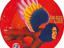 David Bowie. The Man Who Sold The World. RSD Pic Disc Vinyl LP.