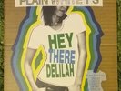 Plain White T's - Hey There Delilah 7