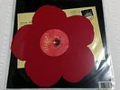 Paramore HOLIDAY SESSIONS red hibiscus flower  7