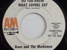 DAVE AND THE MARKSMEN Do You Know What Lovers Say / Food Fair A&M PROMO SURF 45