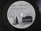 Peter Skellern  - ACETATE rare / Dreaming 7
