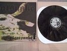 Goatsnake I LP Man's Ruin