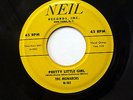 MONARCHS 45 Pretty Little Girl / In my Younger Days NEIL 1st press Doowop  fm408