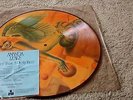 Amanda Lear - Never trust a pretty face Picture Disc