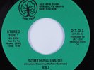 Modern Soul 45 RAJ Something Inside OAK TREE HEAR