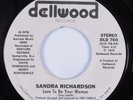 70s Soul Funk 45 SANDRA RICHARDSON Love To Be Your Woman DELLWOOD HEAR VG++/VG+
