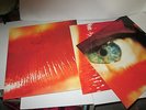 THE CURE 