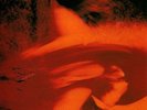 Slowdive - Just For A Day 180g vinyl NEW/SEALED  shoegaze Souvlaki