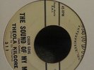 theola kilgore chain gang the sound of my man