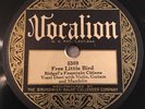 PRE WAR VOCALION 5389 Ridgel's Fountain Citians RARE KNOXVILLE SESSION RECORD EX