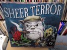 SHEER TERROR THE BULLDOG BOX SET 5 LPS COLORED VINYL PATCH POSTER BOOKLET PUNK