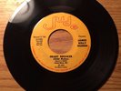NORTHERN SOUL 45 JAMES KELLY DUHON HEART BREAKER / IN SCHOOL JUDE 741 HEAR  1974